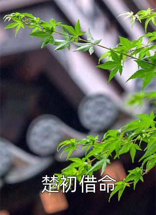 妻子的反击，揭开凤凰男面具最完整版