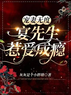 我从来不曾爱过你李婉宁正版：无无番外笔趣阁